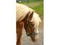 M & S Stables, inc