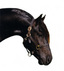 Whispering Hills Friesians