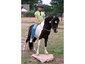 DBO Ranch Training Facilitiy