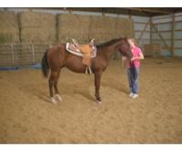 Crazy Horse Stables, LLC
