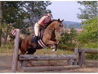 Starboard Stables