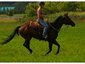 Extra Mile Ranch