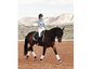 scwdressage.com