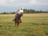 Diamond S Stables