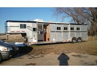 Modra's Equine Massage Therapy