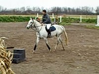 Michael Celso â�¢ Equestrian