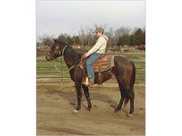 C-C Ranch & Performance Horses