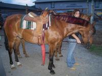 MeadowBrook Acres