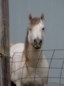 Goetz Ranch