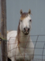 Goetz Ranch