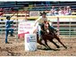 J&M Performance Horses