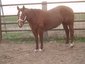 Doetker Ranch