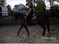 Talented Equestrian Center LLC