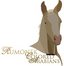 Rumonek Colored Arabians