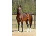 centaurfarms