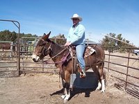 BD Ranch