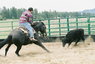 the cozy corral