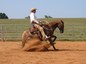 Signal Fire Ranch