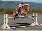 Wits End Eventing