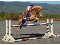Wits End Eventing