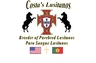Costa's Lusitanos