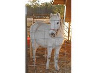 Bar T Ranch