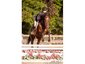 CRT Equestrian