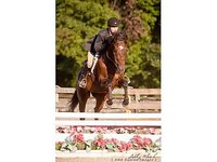 CRT Equestrian