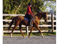 Stoneleigh Farm