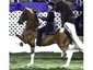 Mike Wessel Stables, LLC