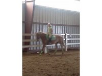 Tiny Torque Stables