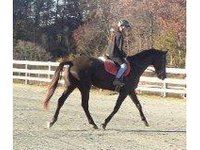 Brandywine Spring farm