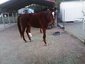 Circle F Ranch