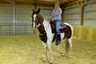 R & M Stables