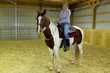 R & M Stables