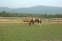 Keyser Farm