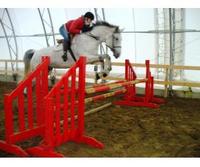 Cheval D�fi