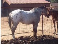 Rocking M Ranch