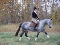 Easy Rhythm Farms
