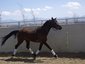 Sheridan Creek Equestrian Cent