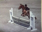 S.B. Stables