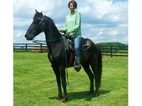 H&H Stables