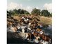 Lazy K Ranch