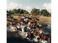 Lazy K Ranch