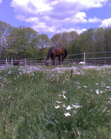 Hidden Fields Farm