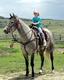 Sande Quarter Horses