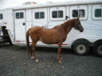 AnWstables