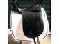 Willow Hill Equestrian, Ltd