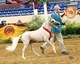 Ozark Mountain Miniatures & Shetlands