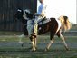 Leger Stables